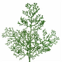26" Mini Glitter Manzantia Branch in Green | QG