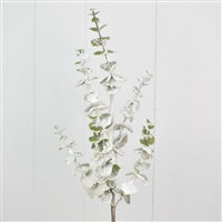 30'' Snowed Eucalyptus Spray | QD