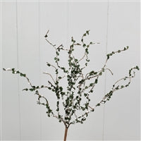 19'' Mini Berry/Leaf Bunch in White | QD