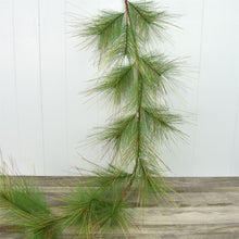 Load image into Gallery viewer, 60&quot; Woodland Long Needle Pine Garland | QD