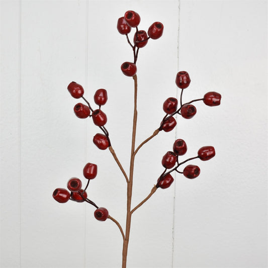 26'' Pod Berry Spray in Red | QD