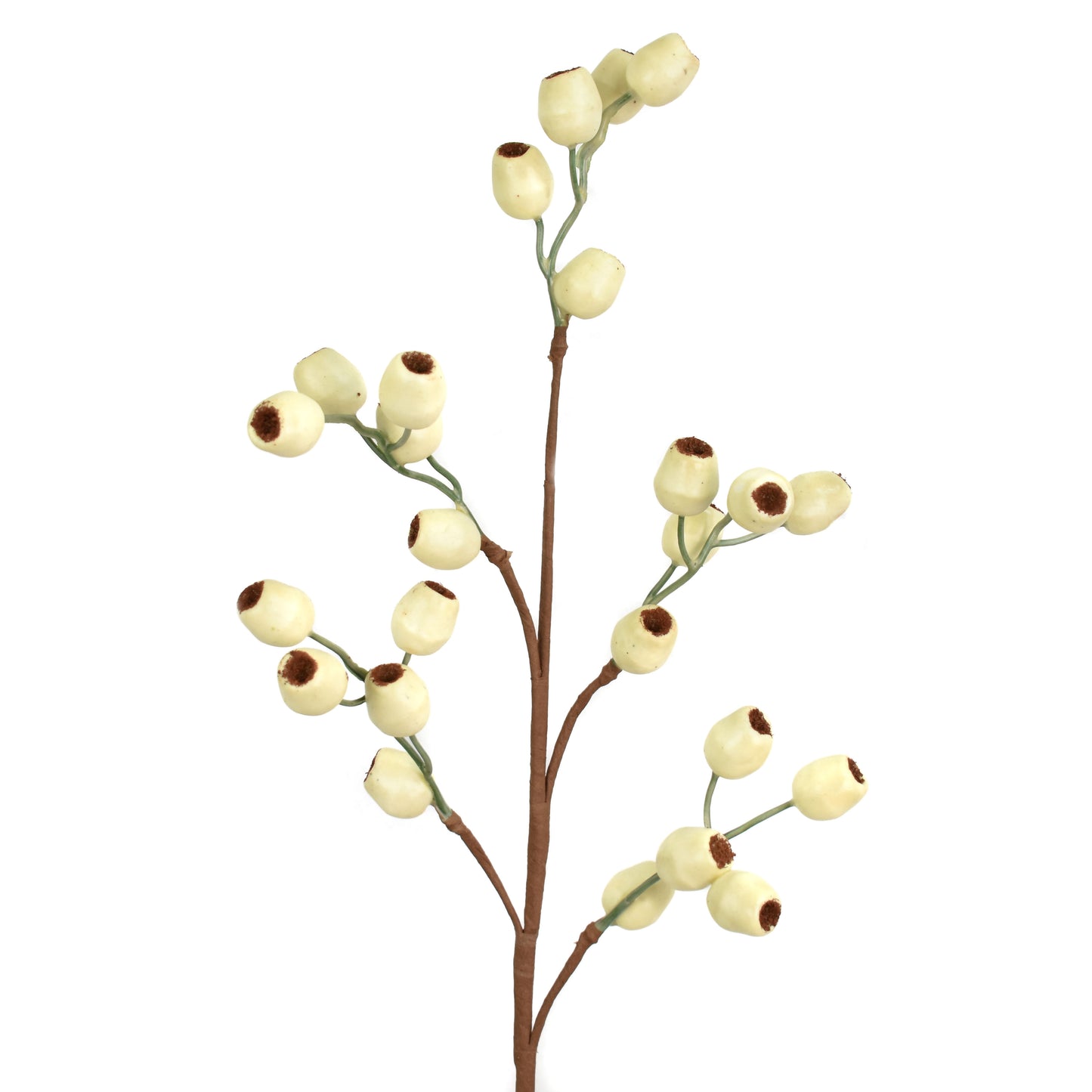 26'' Pod Berry Spray in Cream | QD