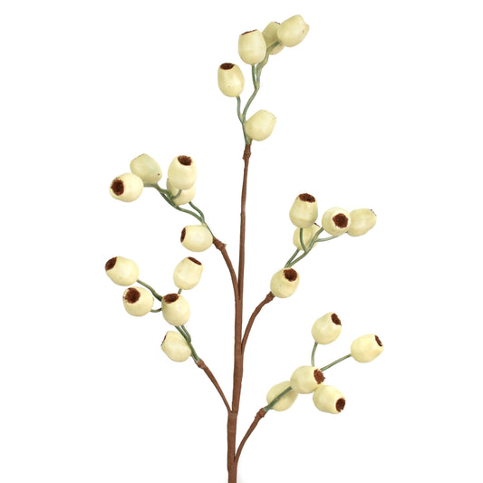 26'' Pod Berry Spray in Cream | QD