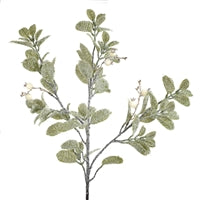 30" Frosted Osmanthus Leaves/White Berries Spray | QS