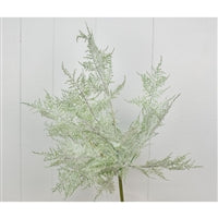21" Frosted Cypress Leaves Spray | QS