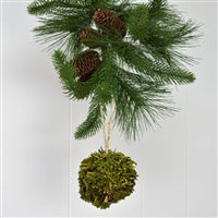4" Natural Twig and Moss Ball | BF