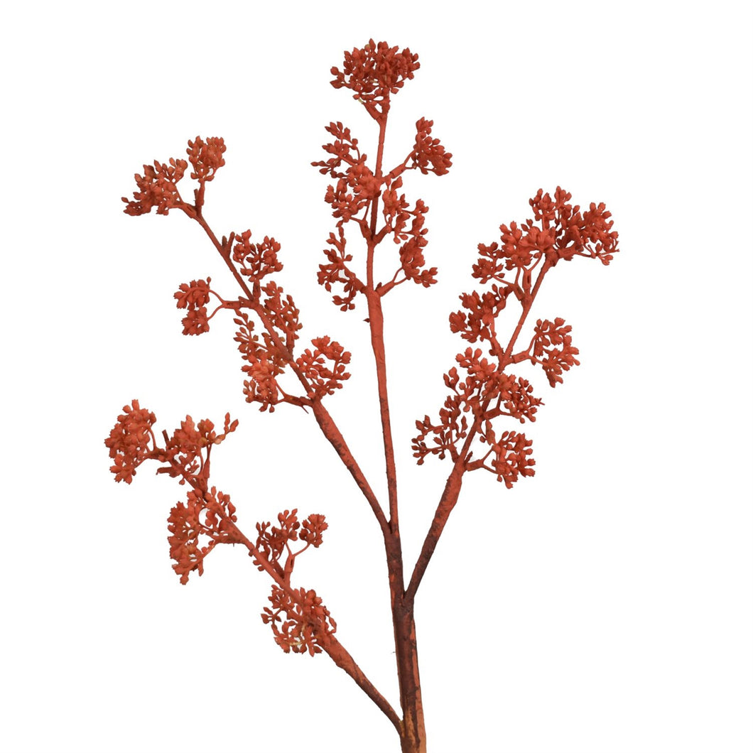 26” Southern Seeded Berry Stem in Rust | XJ