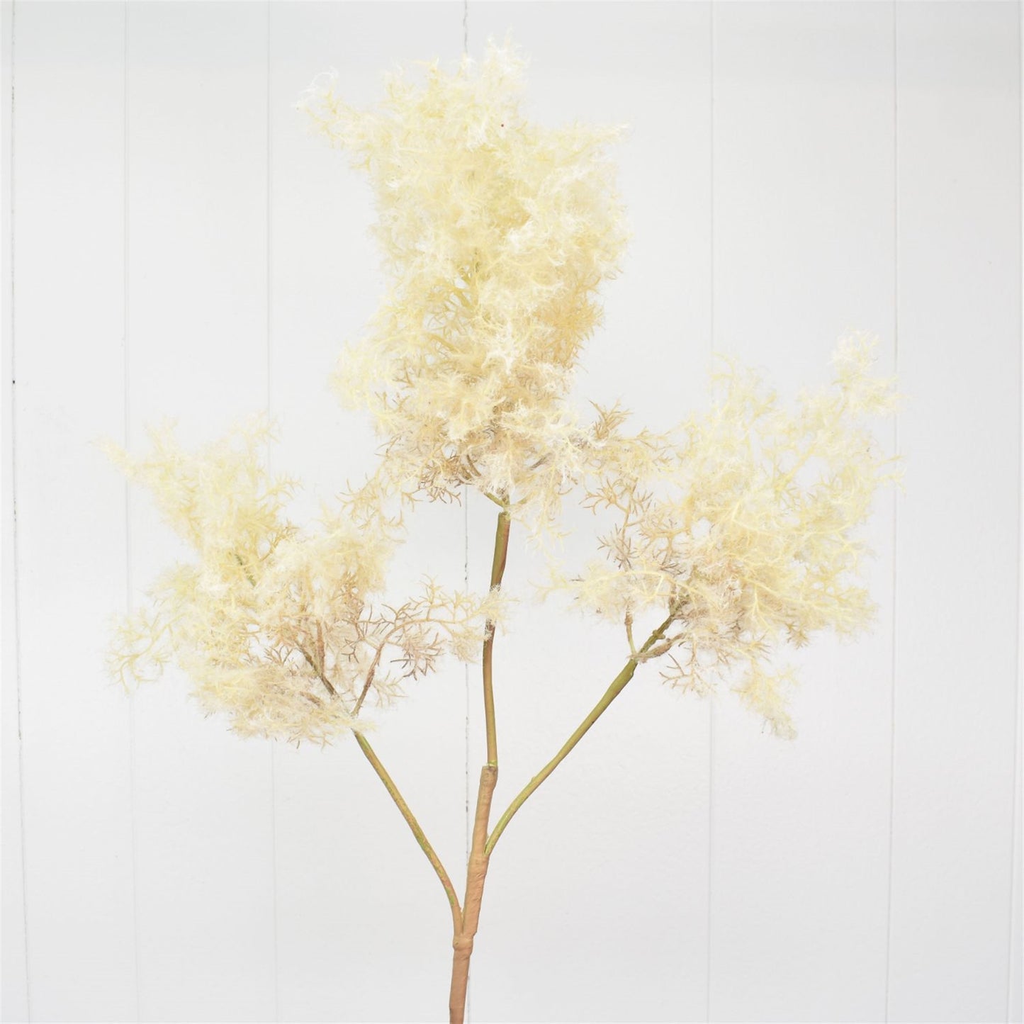 44” European Cream Cotinus Spray | XJ