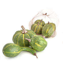 Load image into Gallery viewer, Warm Harvest Mixed Size Green Pumpkin Assortment