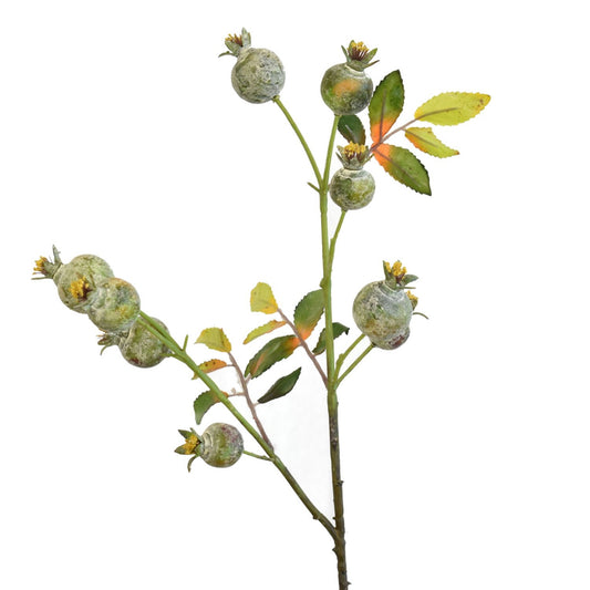 21” Woodland Rosehip Spray in Green | XJE