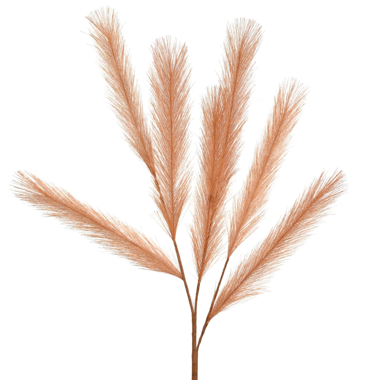 28” Pampas Grass Spray in Persimon | XJE