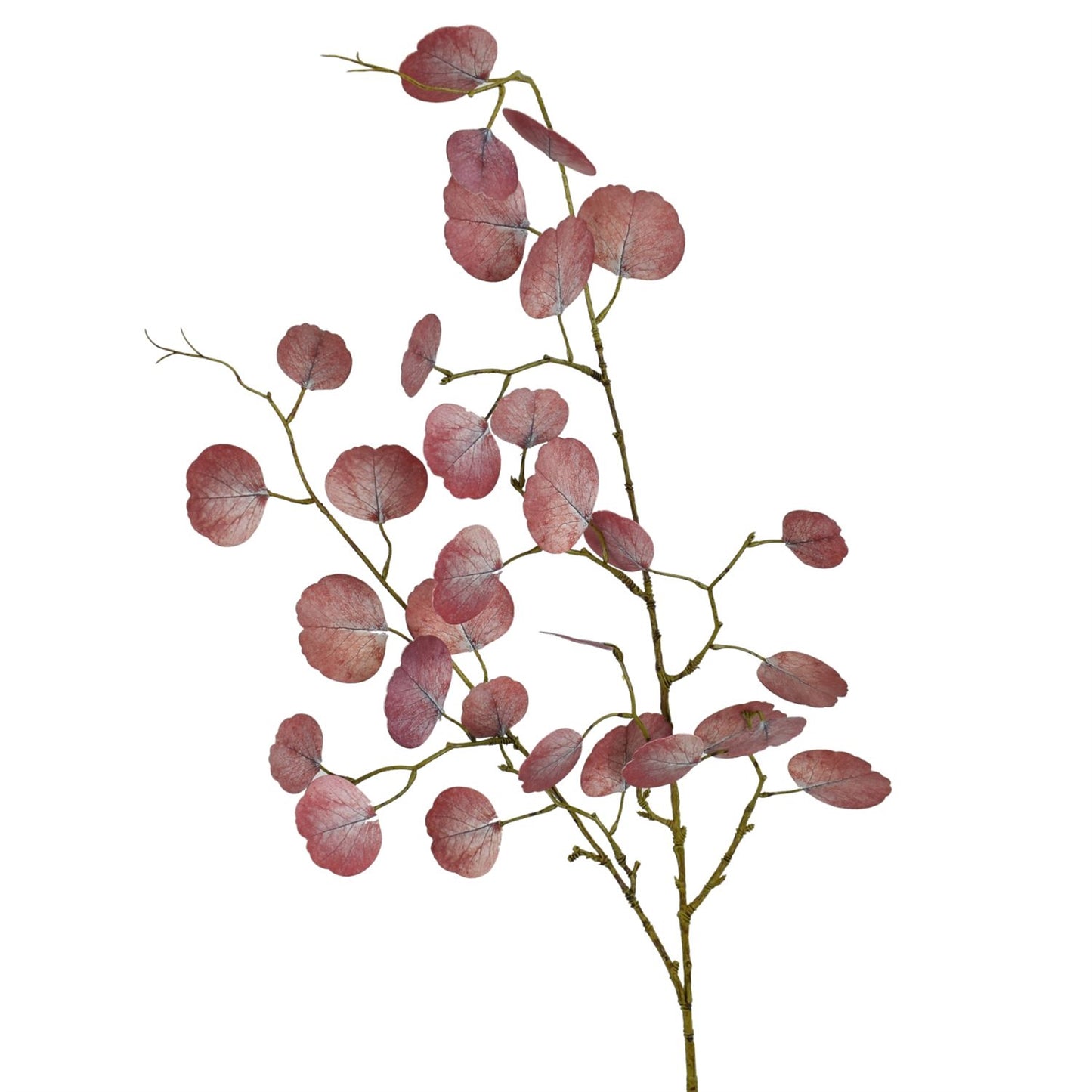42” Faux Preserved Silver Dollar Eucalyptus Spray in Dried Raspberry Red | XJ