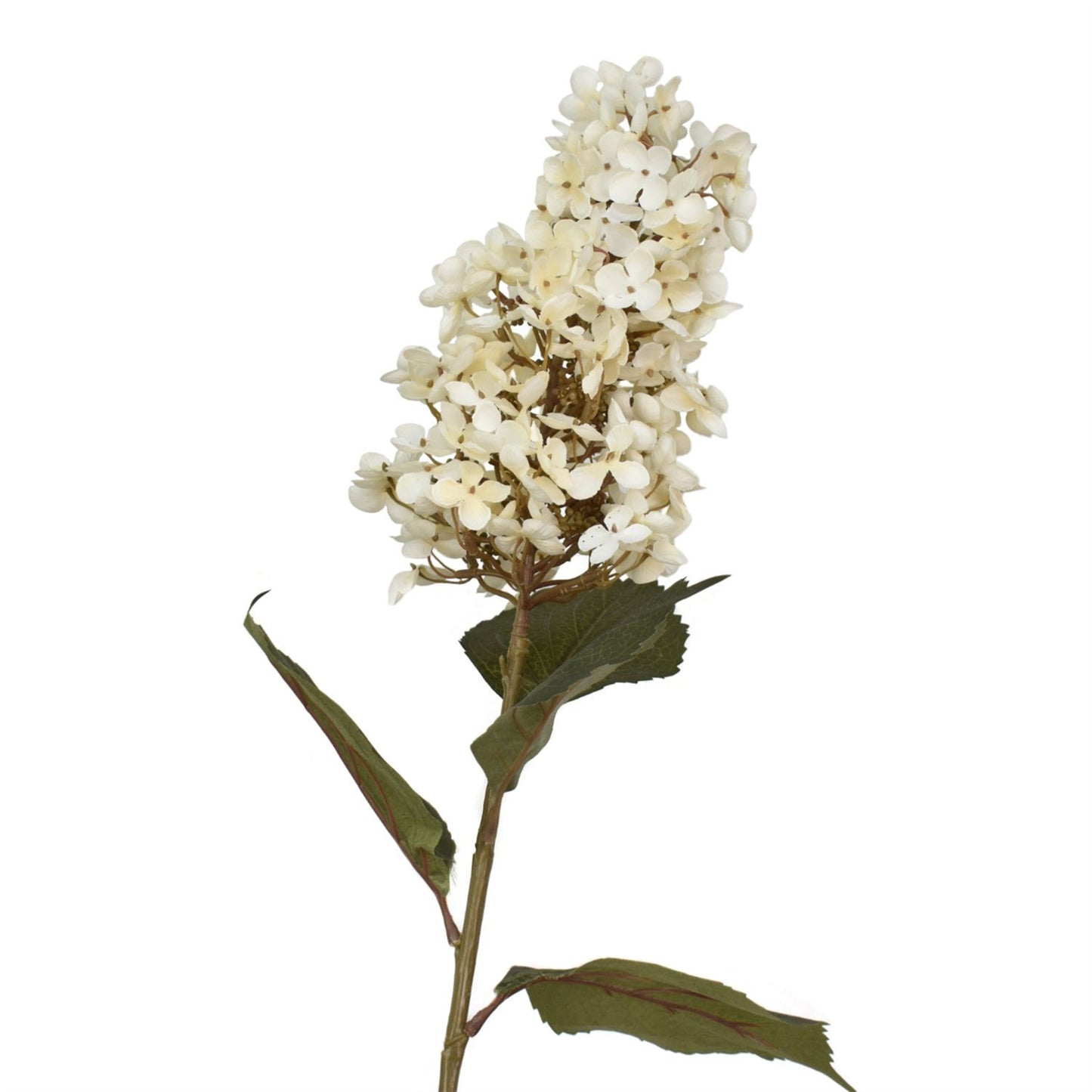 38” Panicle Single Bloom Hydrangea Stem in Cream | XJE