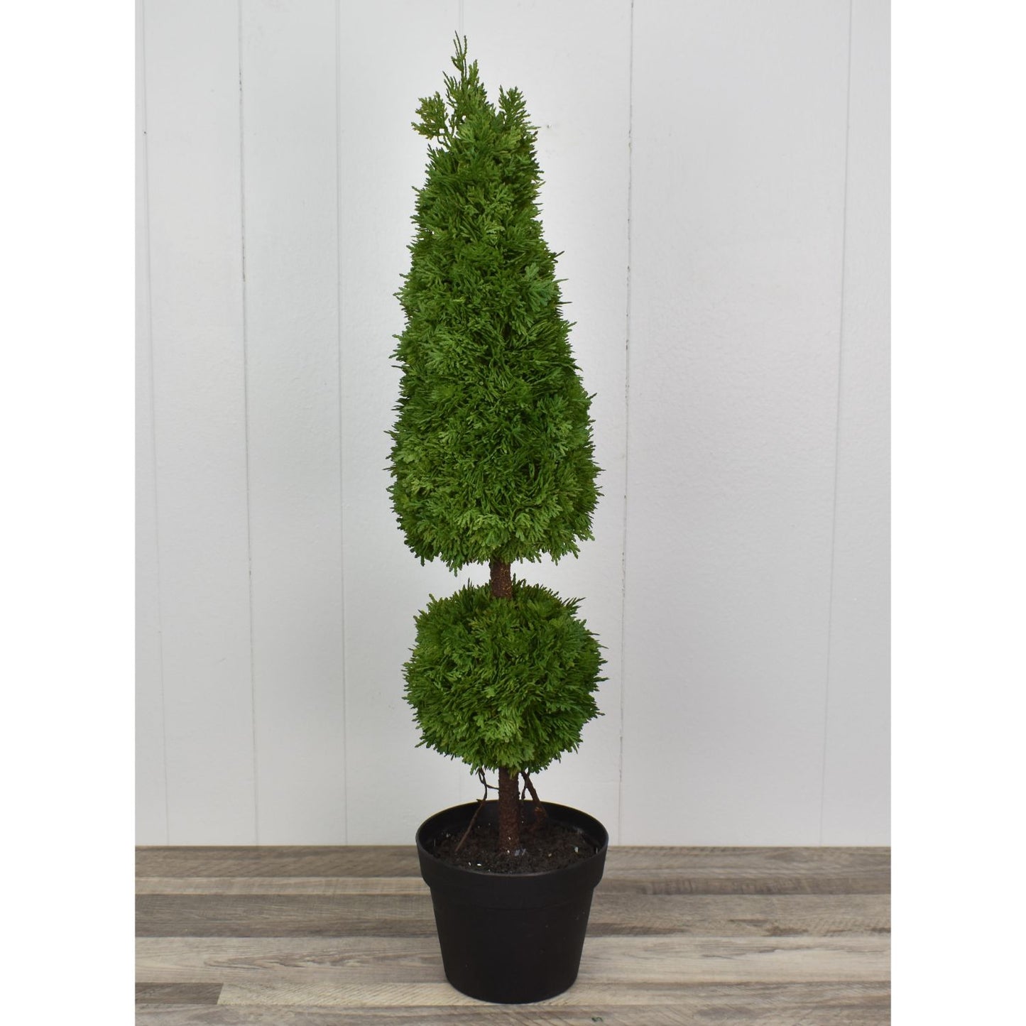 35" Potted Fresh Touch Cypress Cone / Ball Topiary | XJ