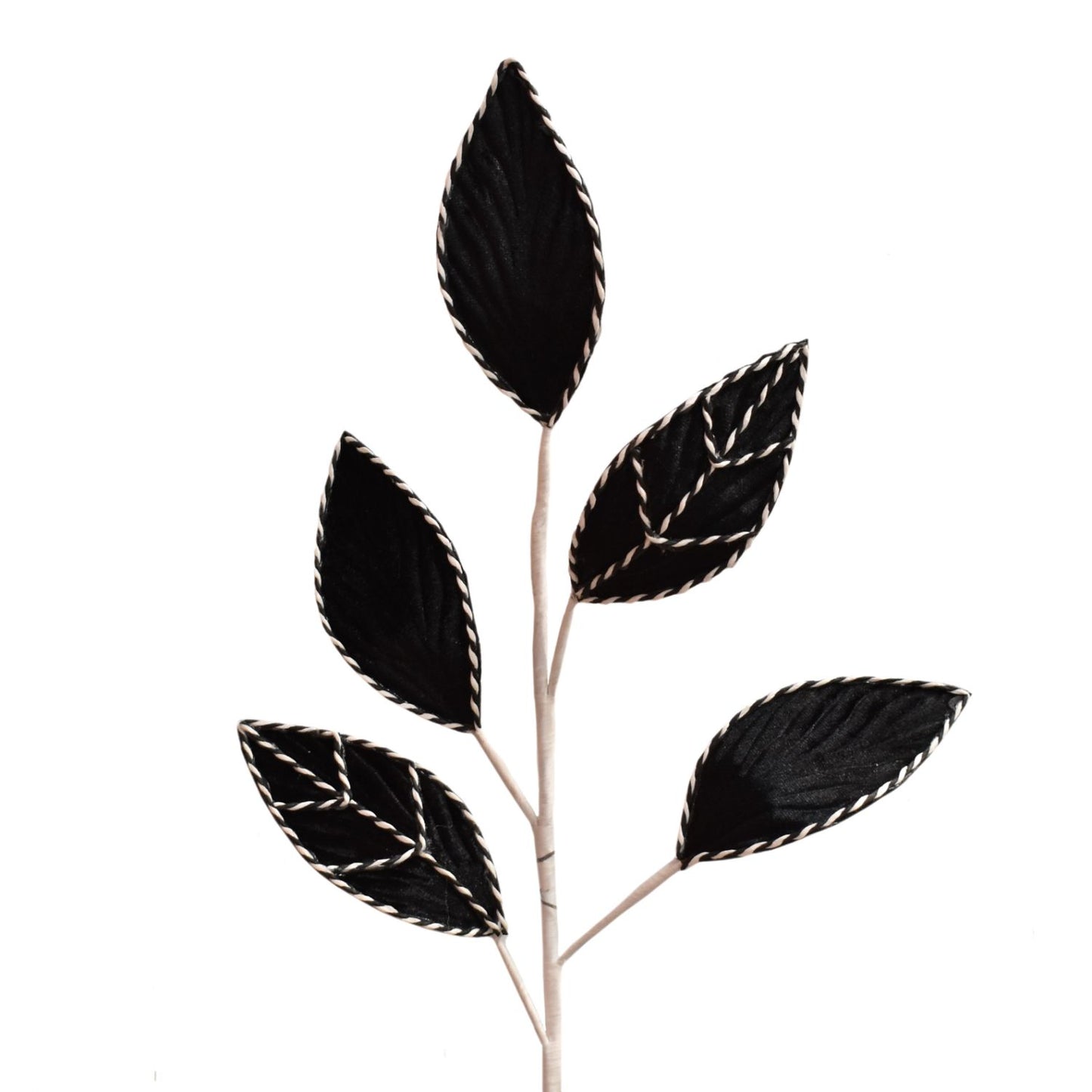 Nutcraker's Elm Leaf Spray - Black