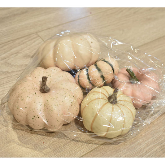 2" - 4" Heirloom Harvest Pumpkin Bagged Assortment | QD