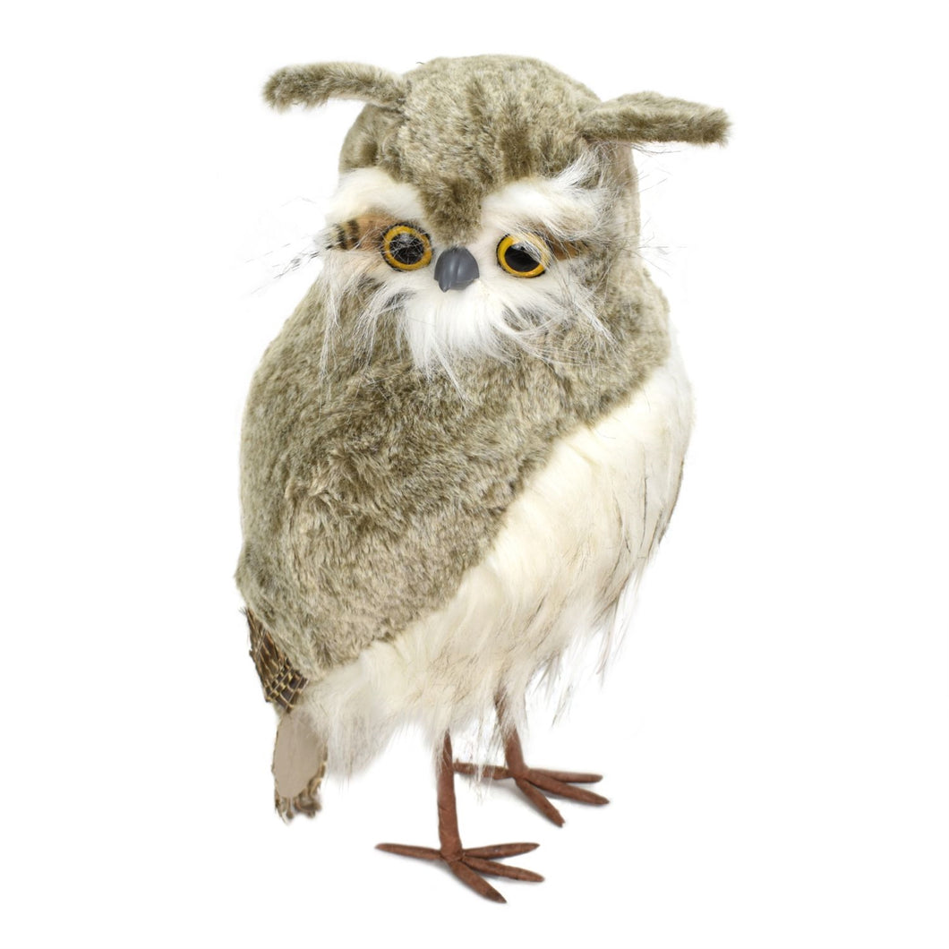 16.5” Long Eared Owl | BF