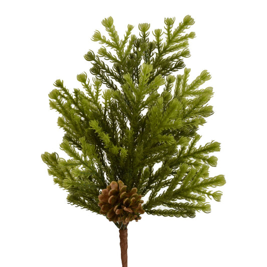 18” Norfolk Island Pine with Cones Spray | QS