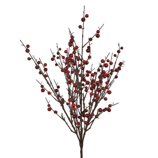 25” Red Holly Berry Bush | QS