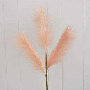 Pampas Grass in Coral