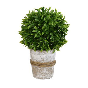 8.5" Thyme Ball Topiary | QSE