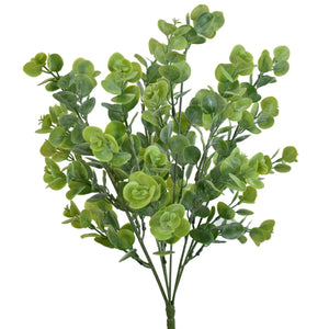 19" Gumdrop Eucalyptus Plant | QSE