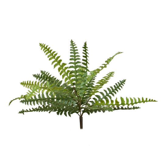 19" Natural Touch Fish Tail Fern Plant | QSE