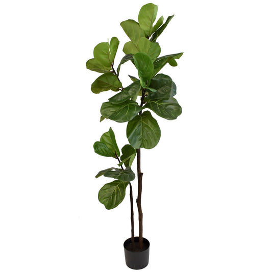 63” Fresh Touch Fiddle Leaf Potted Tree |XJE