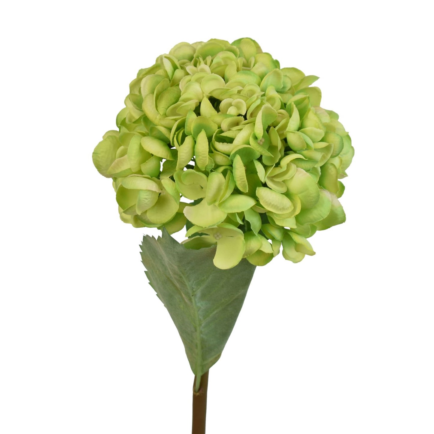 20” Popcorn Hydrangea Stem in Green | XJE