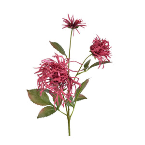 26" Chrysanthemum Spray in Raspberry | XJE