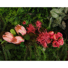 Load image into Gallery viewer, 26&quot; Chrysanthemum Spray in Raspberry | XJE