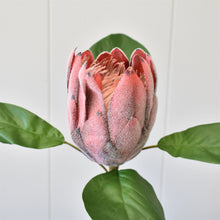 Load image into Gallery viewer, 22&quot; Protea Spray in Mauve | XJE
