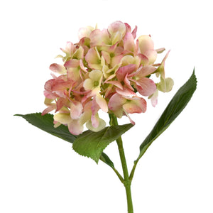 26.5” Freshly Bloomed Hydrangea Stem in Pink | XJE