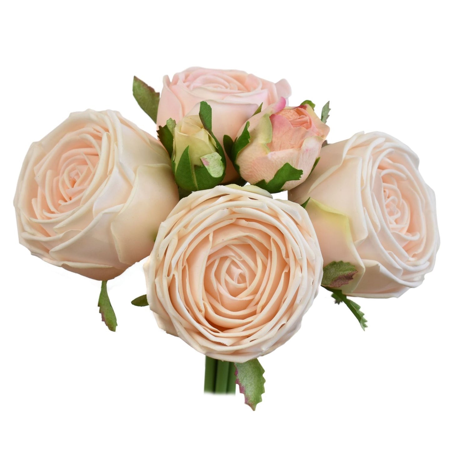 8.5” Fresh Touch Cabbage Rose Bundle in Light Peach | XJE