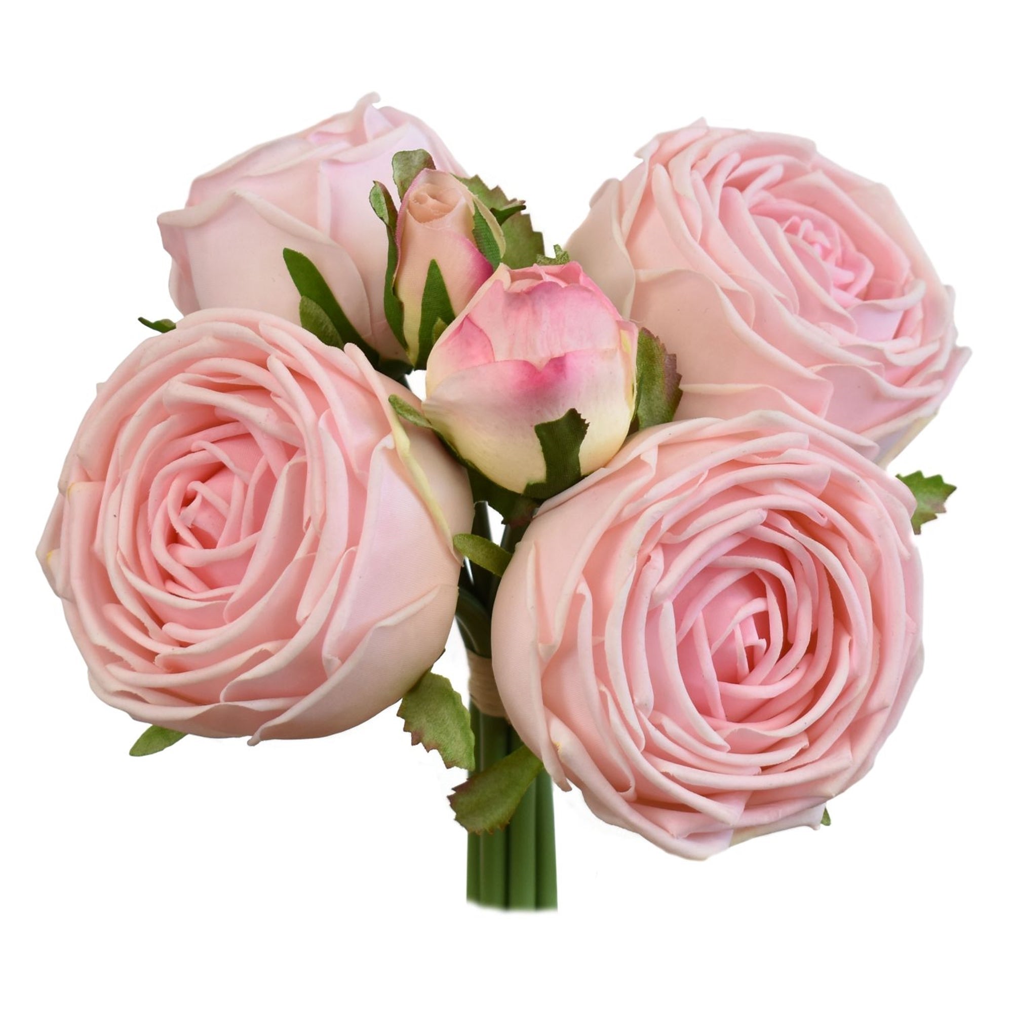 David Christopher's | 8.5” Fresh Touch Cabbage Rose Bundle in Pink