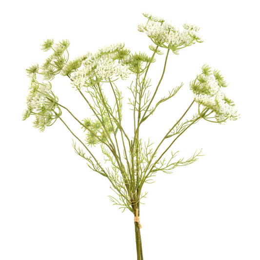 24” Queen Anne's Lace Bundle in White | XJE
