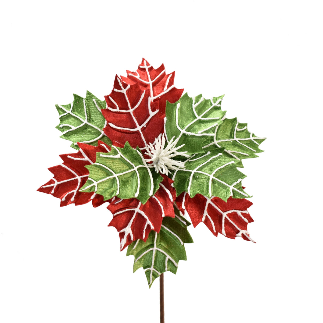 Merry Veined Poinsettia 24'' x 10'' in Red/Green/White | QG