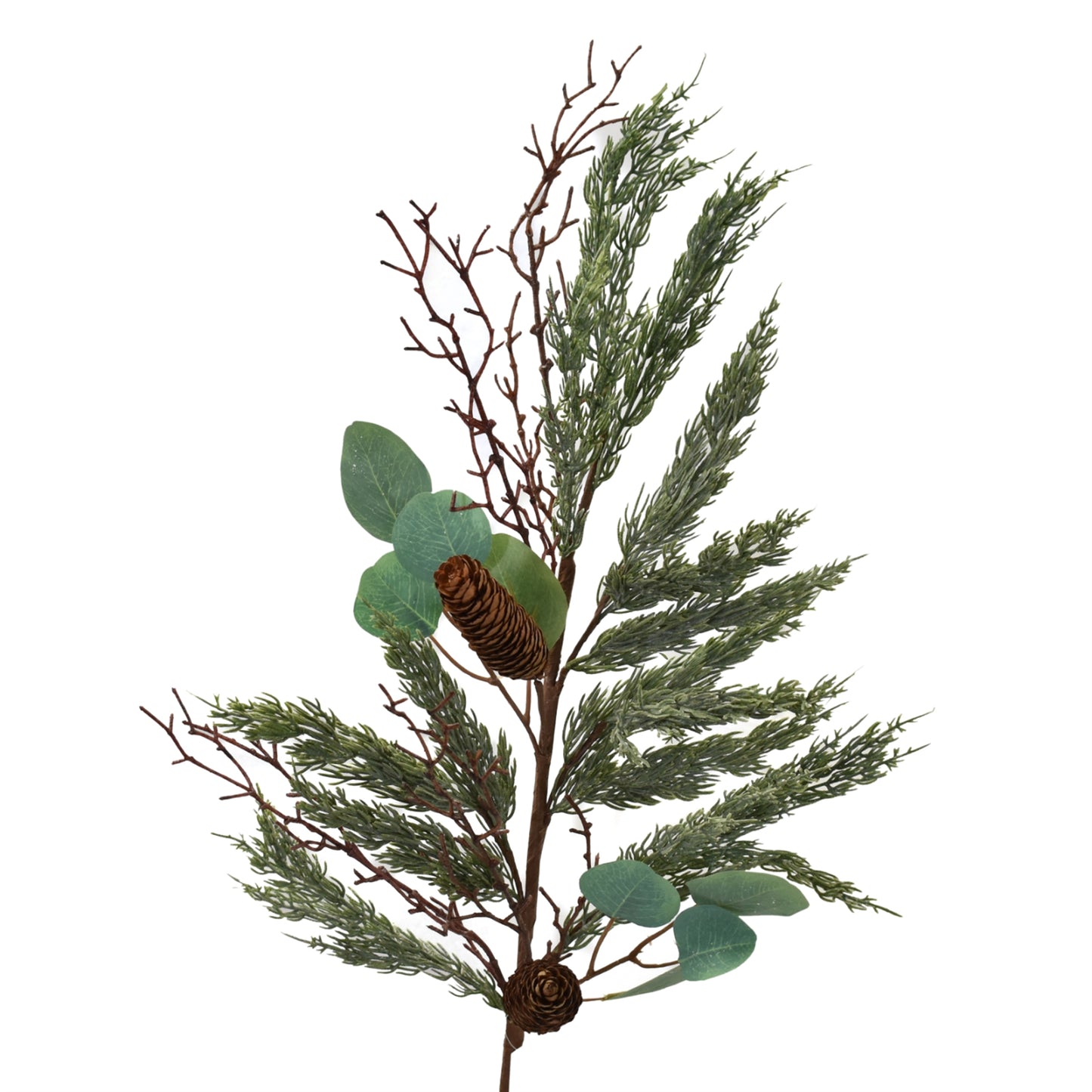 Eucalyptus Cypress Twig Branch 41" | XJ