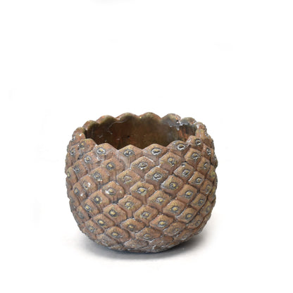 Cement Pine Cone Pot 5.5" x 5.5" x 4" | XJC22