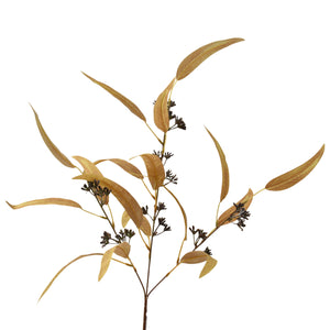 Wispy Seeded Willow Eucalyptus Spray 30.5" in Golden | XJ