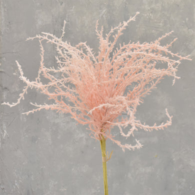 Wispy Pampas Bundle 19