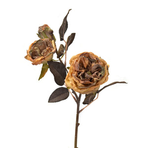 Faux Dried Wild Rose Spray 17" in Golden | XJ