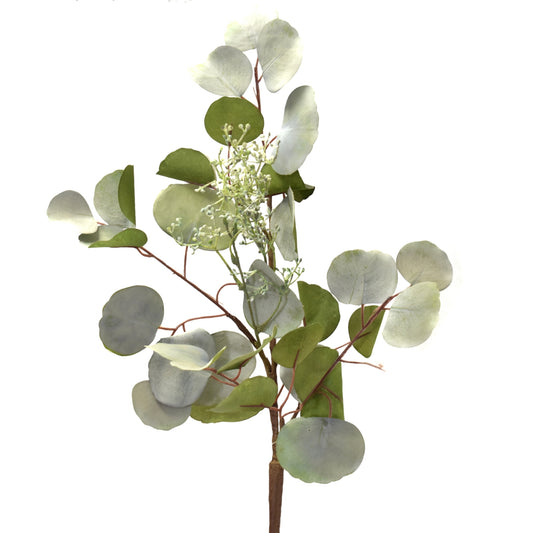 Washed Dollar Eucalyptus Spray with Seed 38" in Green | XJC22