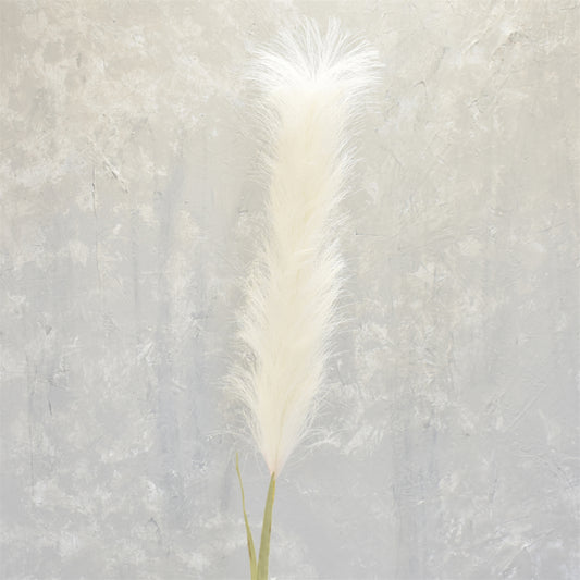 Feather Pampas 48" in Cream | XJC22