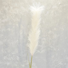 Load image into Gallery viewer, Feather Pampas 48&quot; in Cream | XJC22