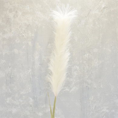 Feather Pampas 48