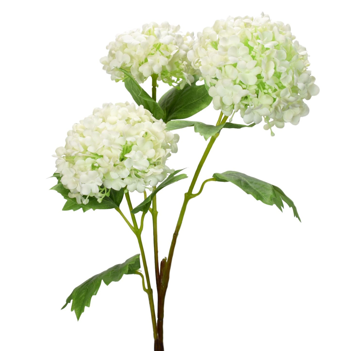 33" Viburnum Spray in White | XJE