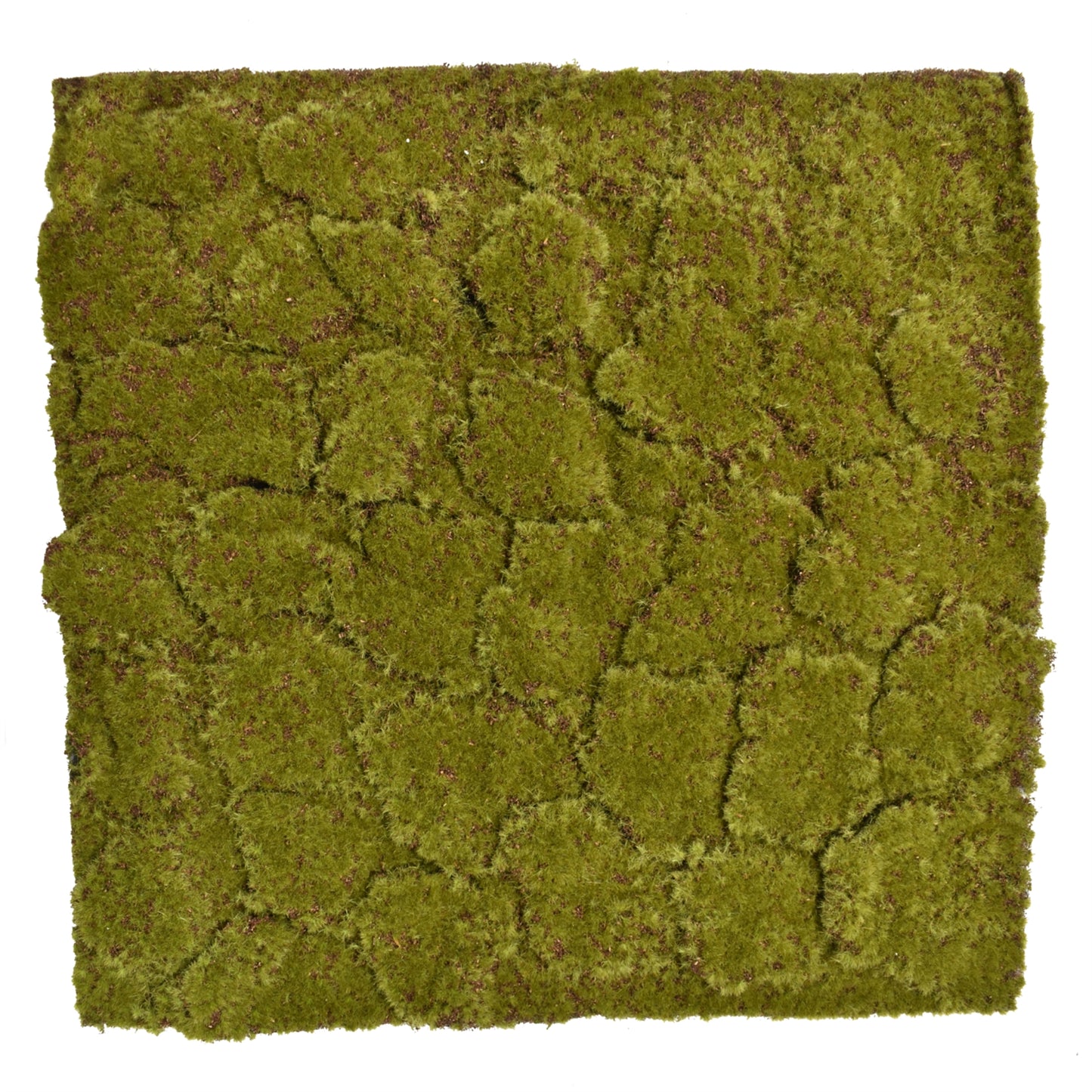 Moss Matt Sheet 20" x 20" | XJC22