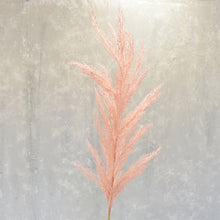 Load image into Gallery viewer, Grande Pampas Grass Stem 53’’ in Pink | XJC22