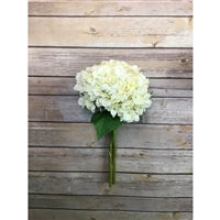 13.5" Garden Hydrangea Bouquet in White | XJE